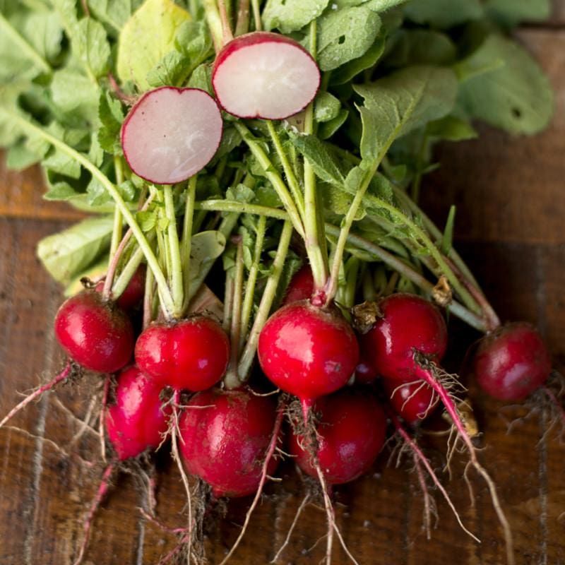 Radish 'Cherry Belle'