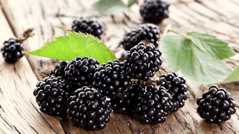 Blackberries
