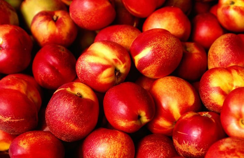 Nectarines