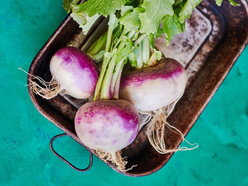 Turnips