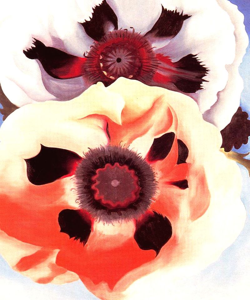 Poppies by Georgia O'Keeffe