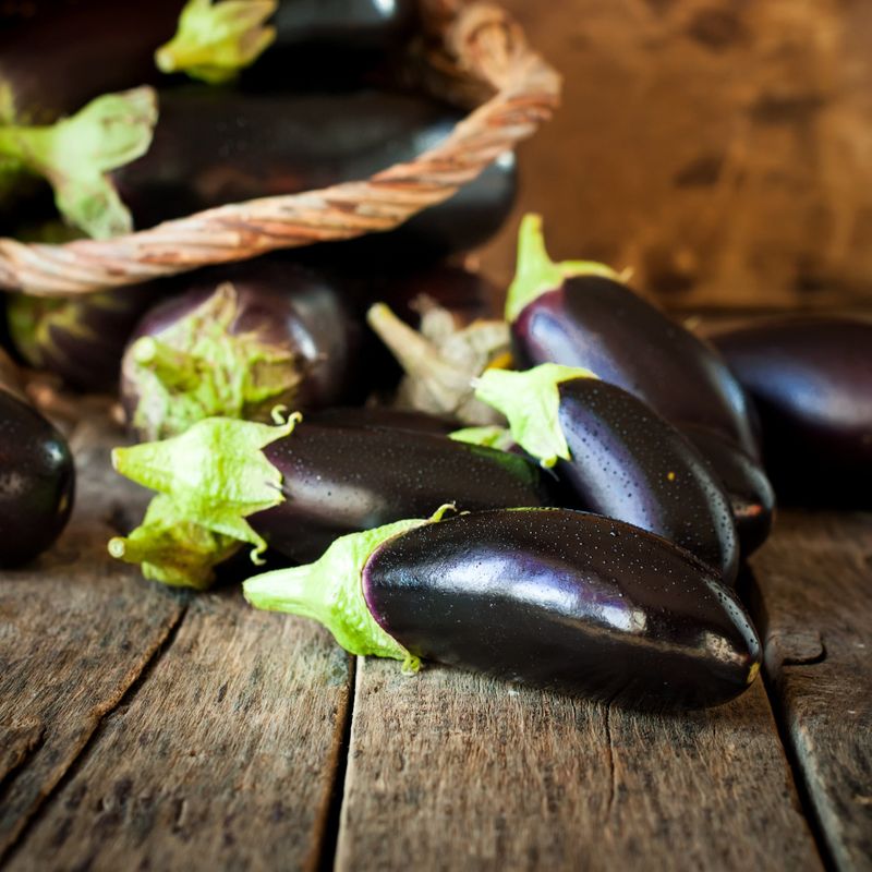 Eggplant