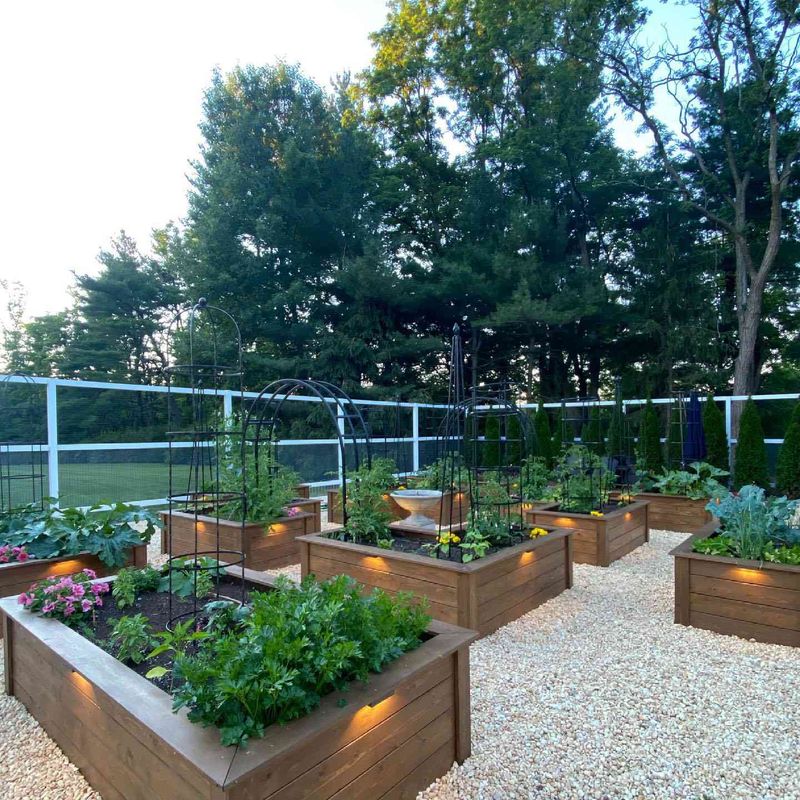 Sustainable Garden Beds