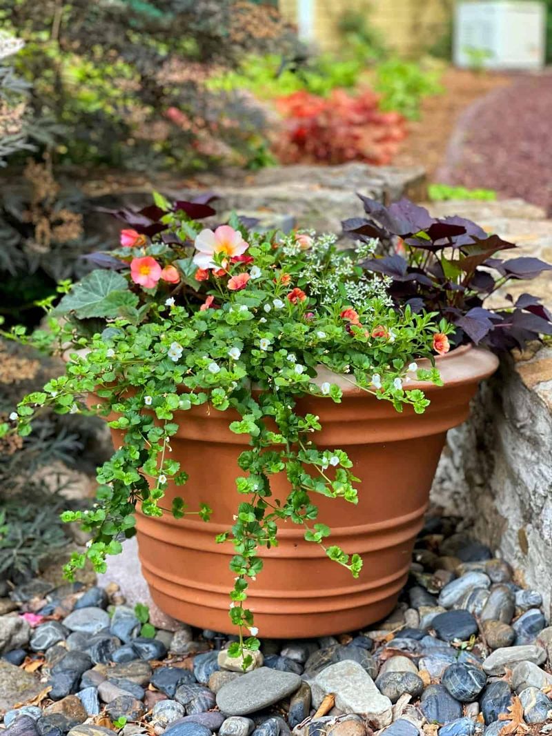 Rotate Your Containers