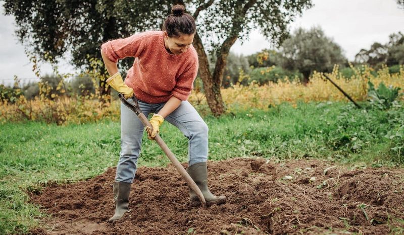 Prepare the Soil Simply