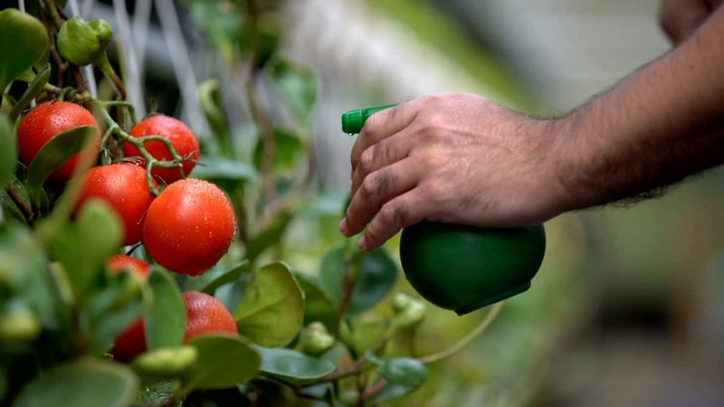 Keep Your Garden Clean