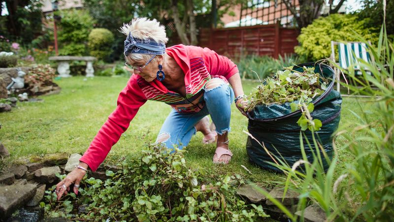 Avoid Pesticides and Chemicals