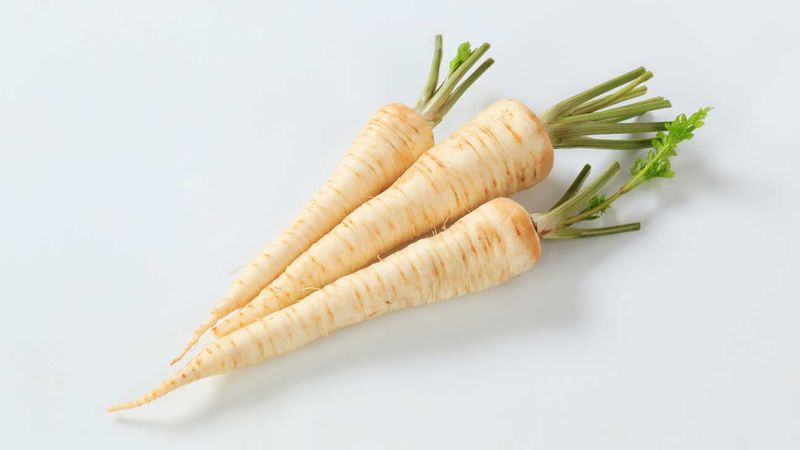 Plant: Parsley Root