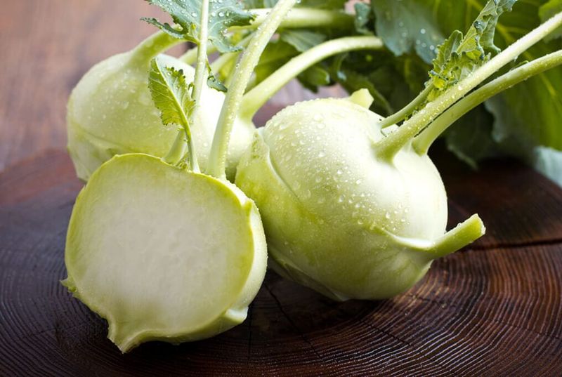 Plant: Kohlrabi