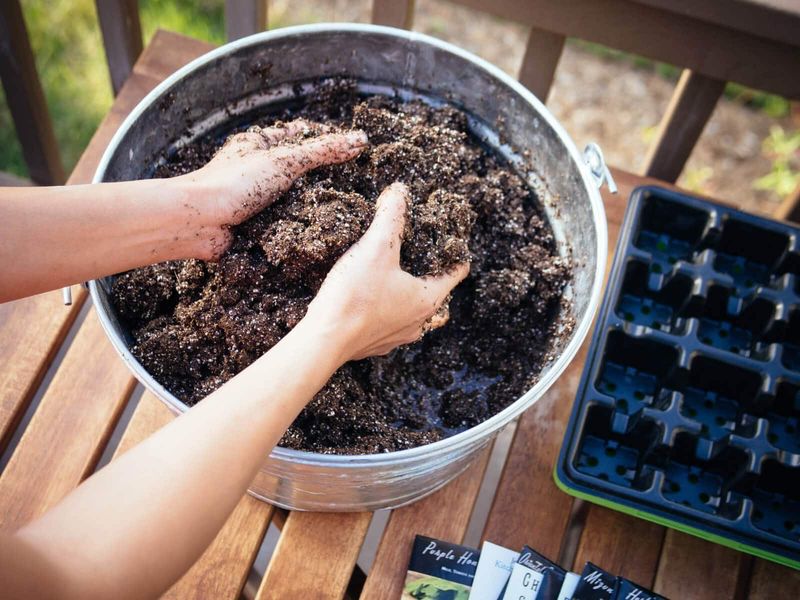 Ignoring Soil Quality