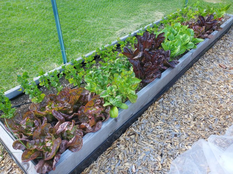 Overcrowding in Small Beds