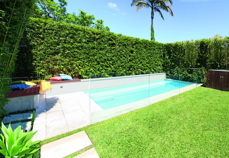 Viburnum (e.g., ‘Awabuki’)