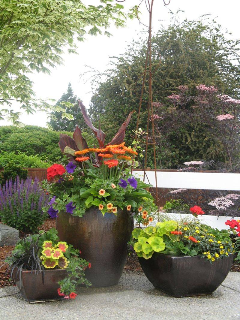 Gorgeous Gerbera Gathering