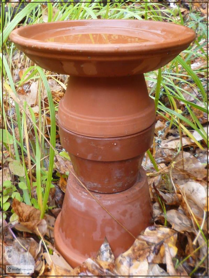 Whimsical Bird Baths