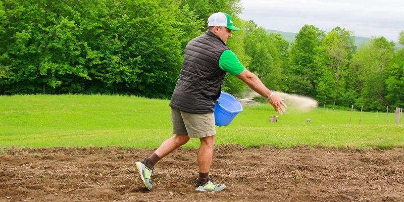 Sow Seeds at the Right Time