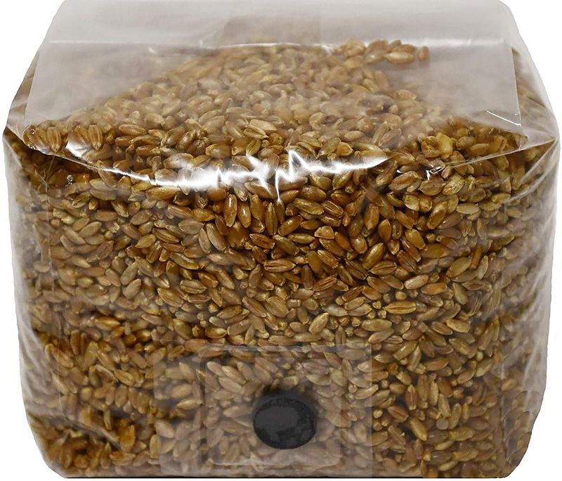 Grain Spawn (Millet, Rye, or Wheat)