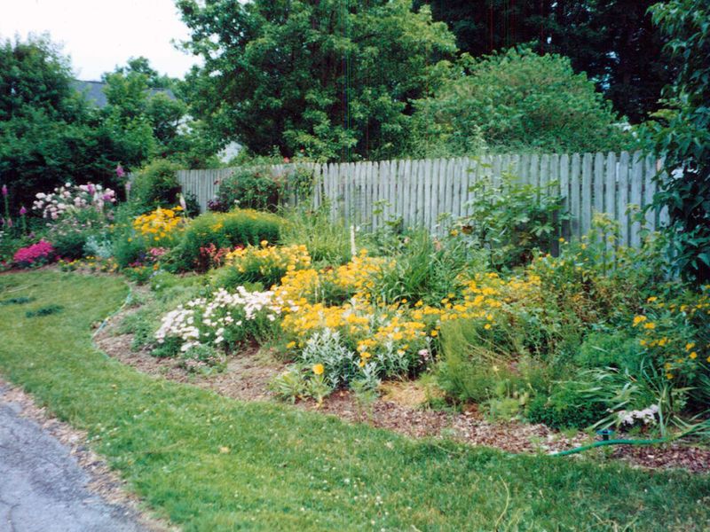 Grow a Variety of Plants