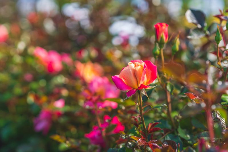 Encourage Air Circulation