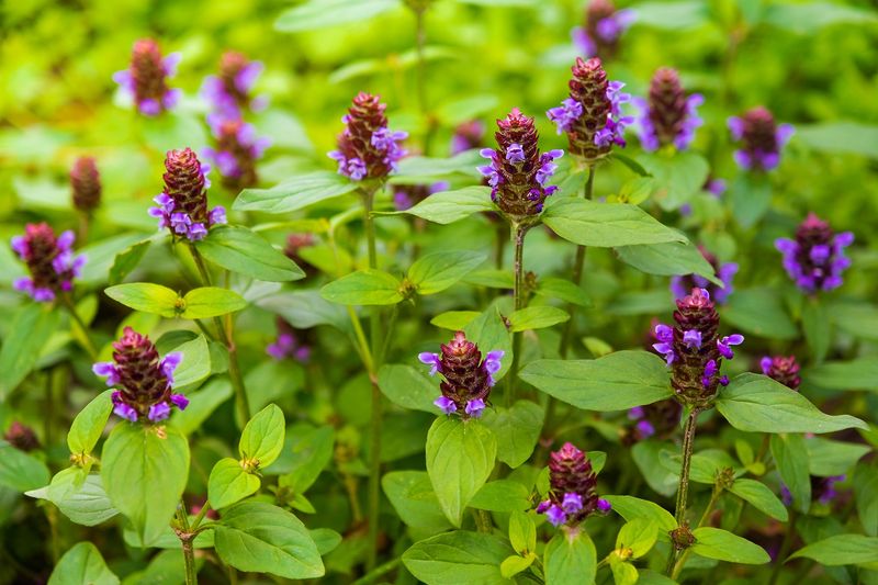Self-heal