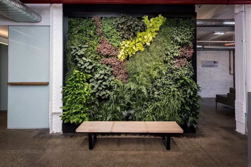 Hydroponic Living Walls