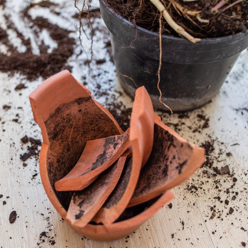 Broken Terra Cotta Pots