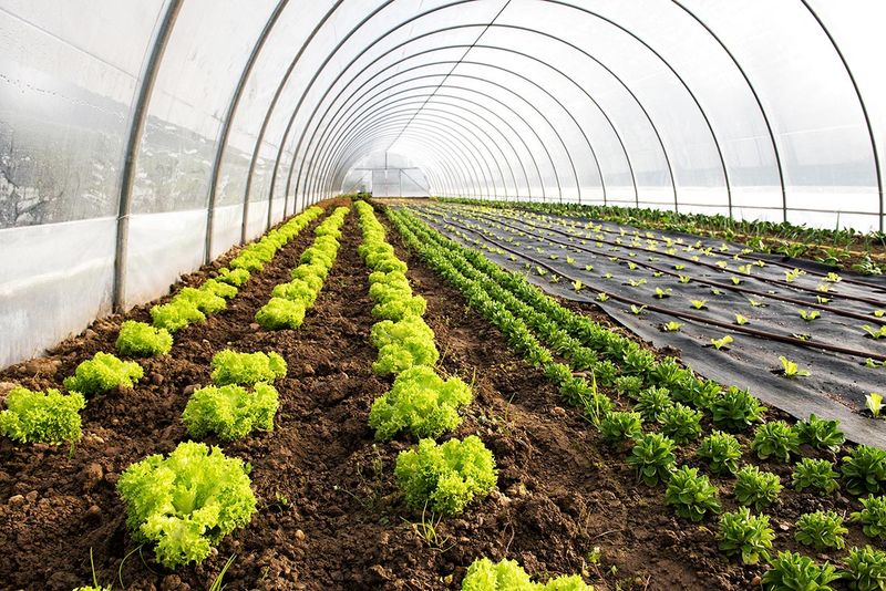 Maintain Consistent Temperature