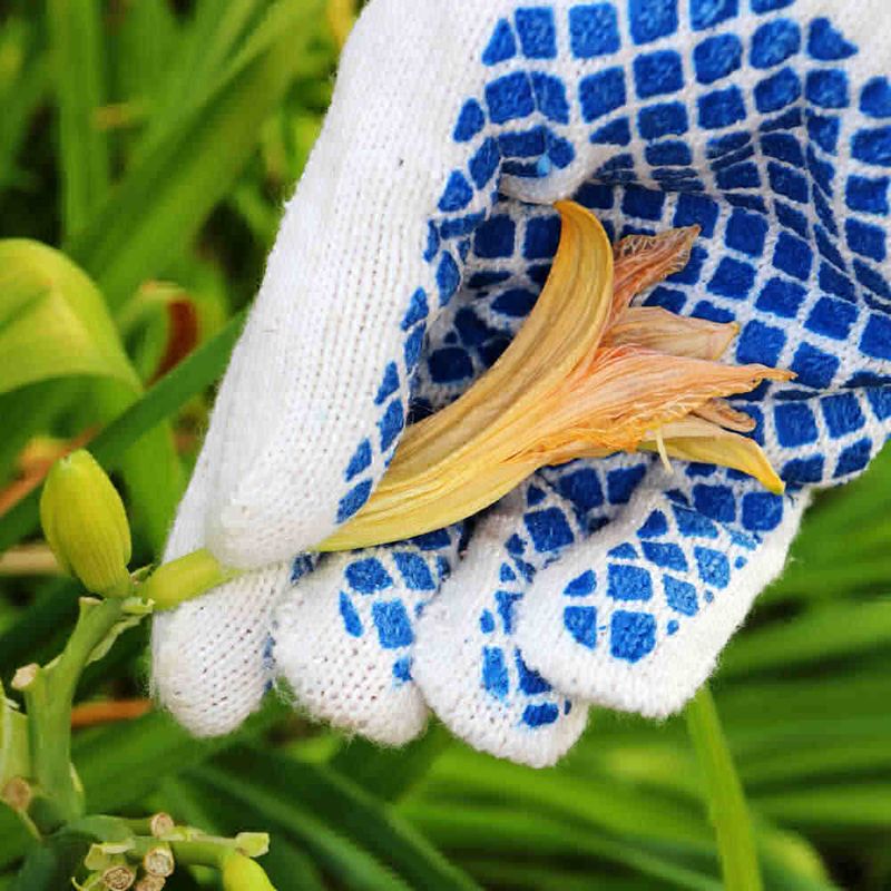 Leave the Stem Until All Blooms Are Done