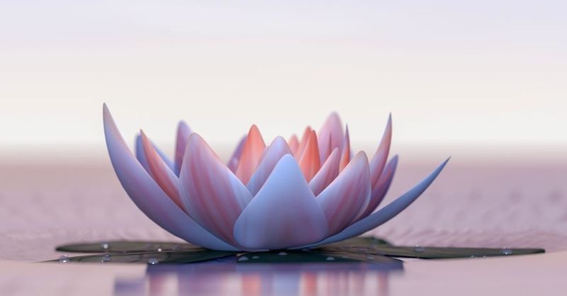 Lotus