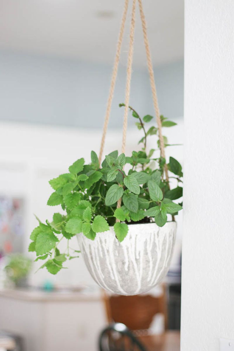 Hanging Herb Basket