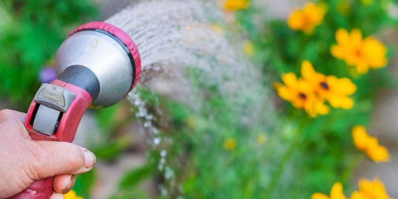 Water Wisely (Only at First)