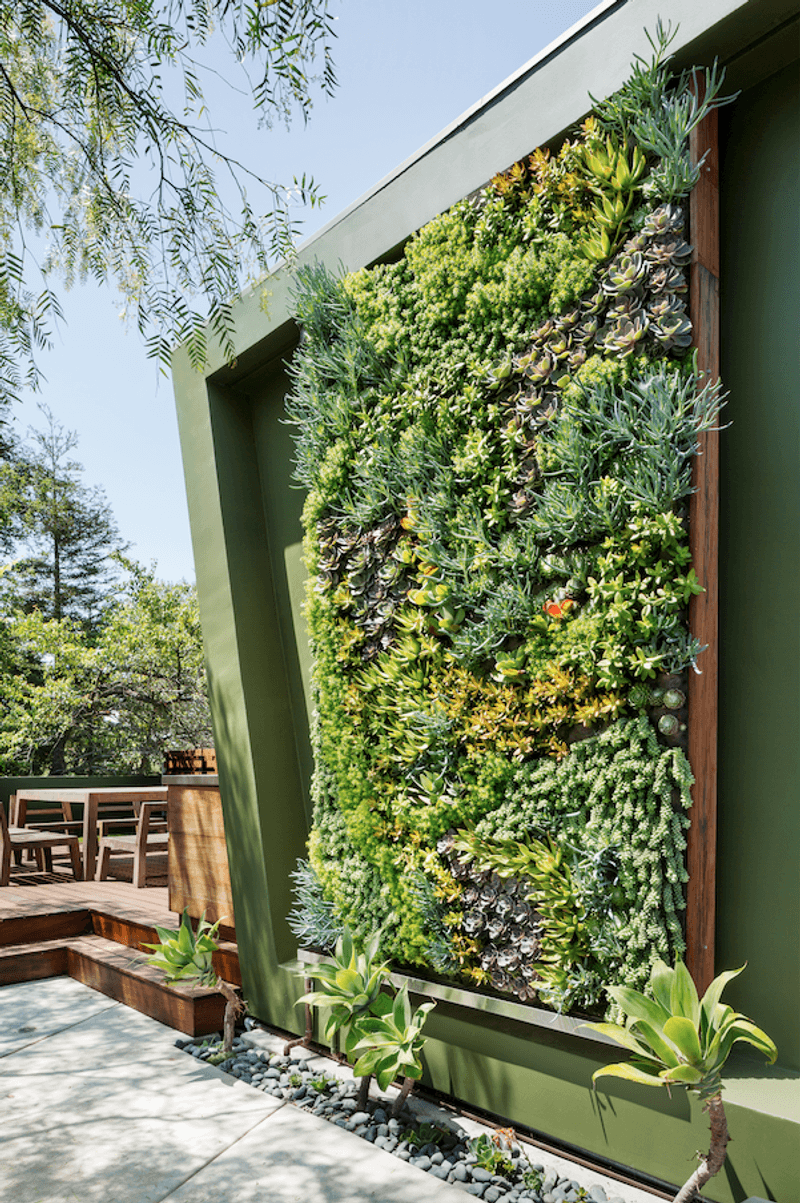 Lush Vertical Gardens