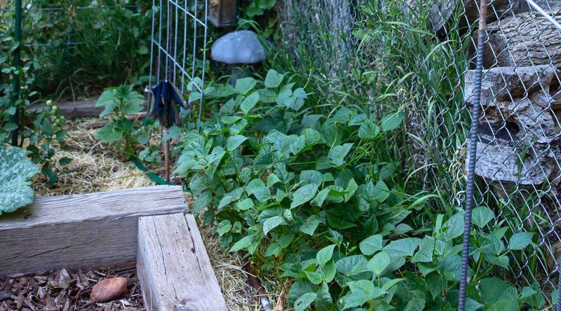 Microclimate Management