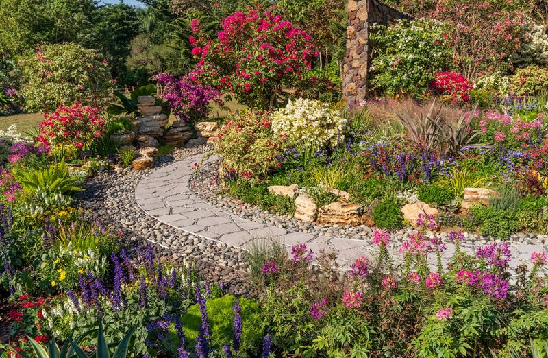 Garden Pathways: Pollinator Highways