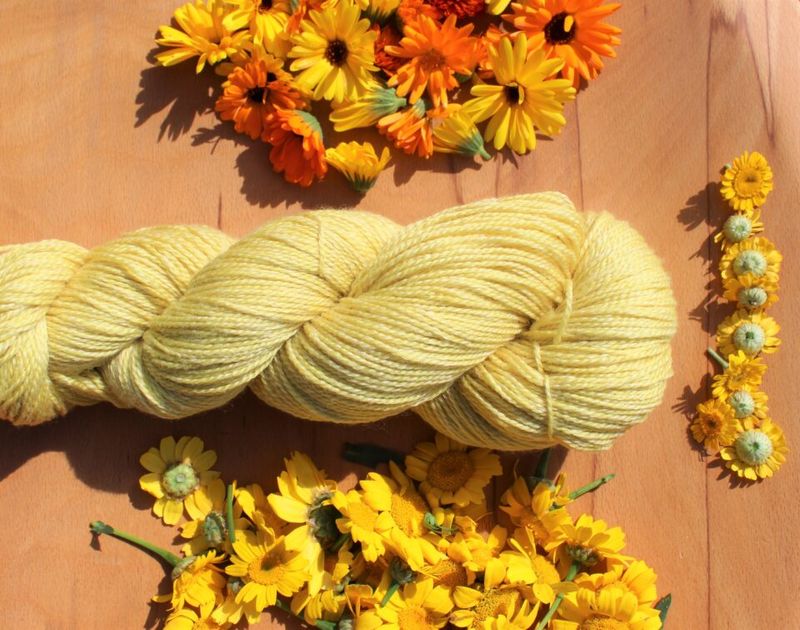 Natural Dye Source