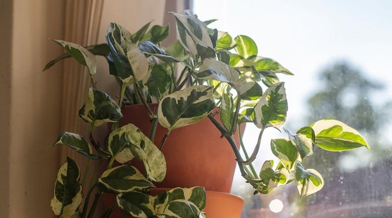 Secret 12: Avoid Drafts