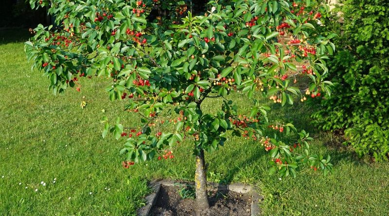 Secret 13: Patience and Persistence