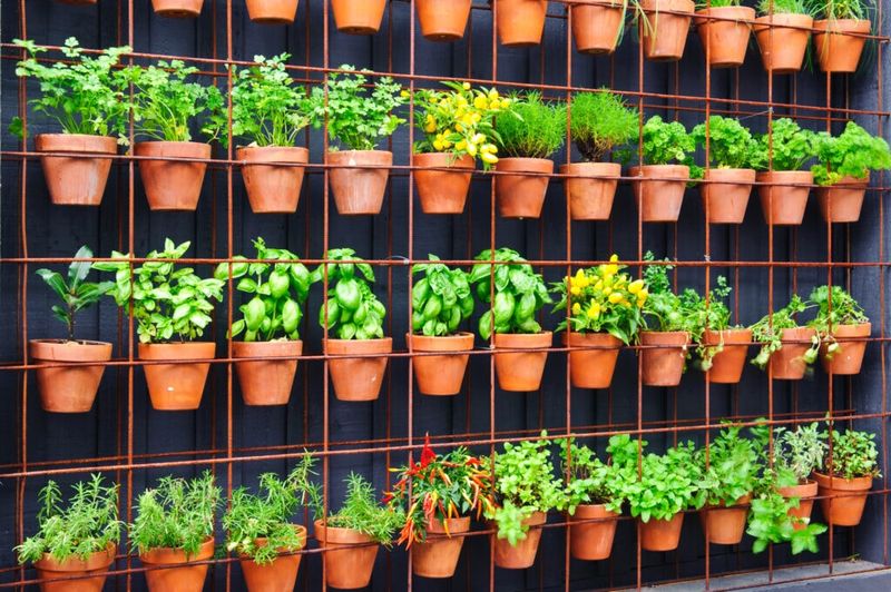 Secret 13: Vertical Gardening