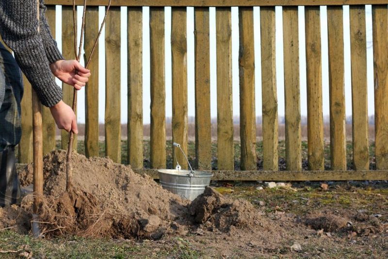 Secret 4: Planting with Precision