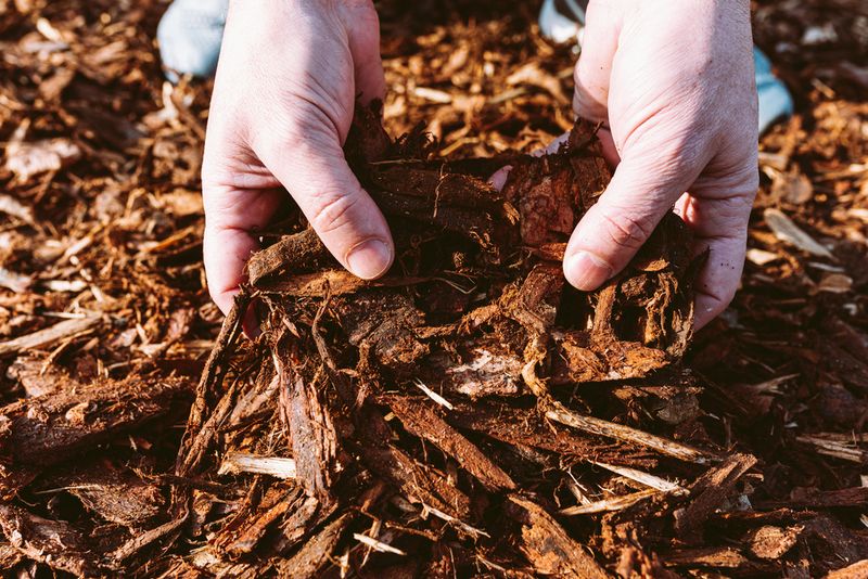 Secret 8: Mulching Magic
