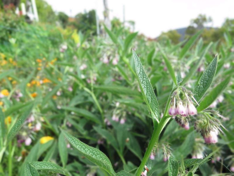 It’s a “Dynamic Accumulator” – But Only If You Cut It