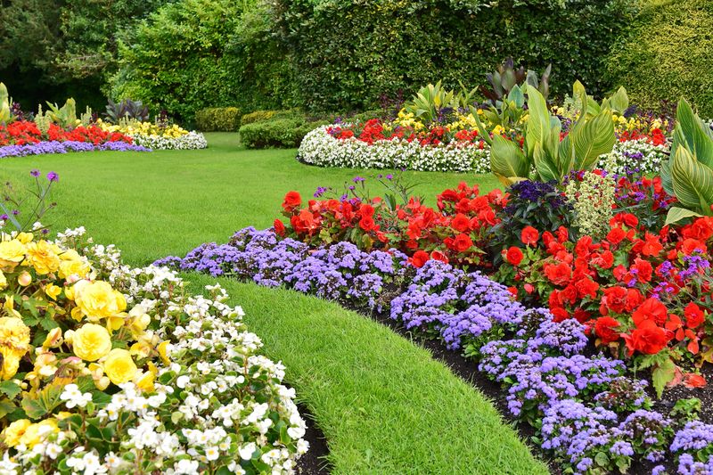 Colorful Flower Beds