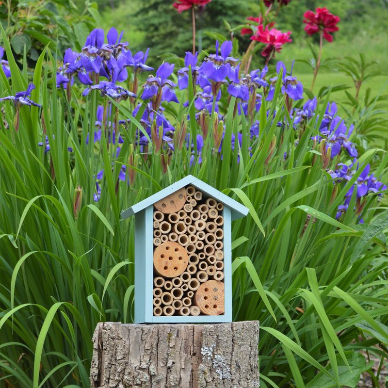Providing a Bee House