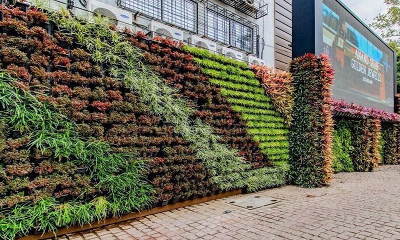 Vertical Gardens