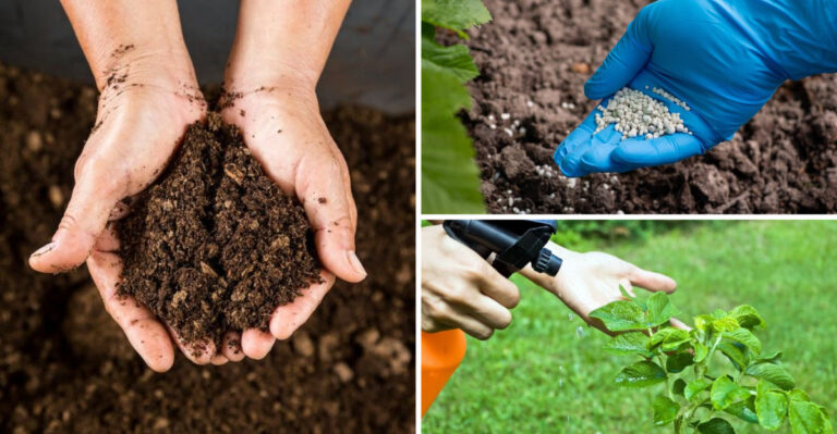 Skip These 11 Popular Gardening Trends — Try These 13 Grandpa-Approved Methods Instead