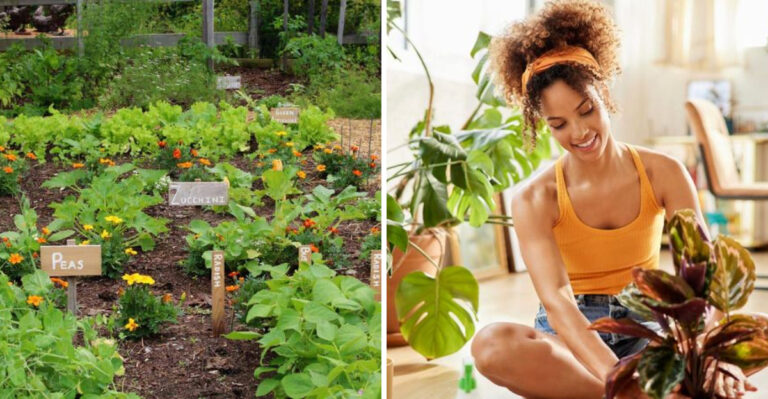 Skip These 20 Beginner Gardening Errors – Try These 22 Pro Tips