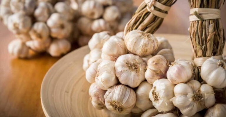 Skip These 5 Common Garlic Mistakes — And Master These 7 Perfect Timing Signs Instead