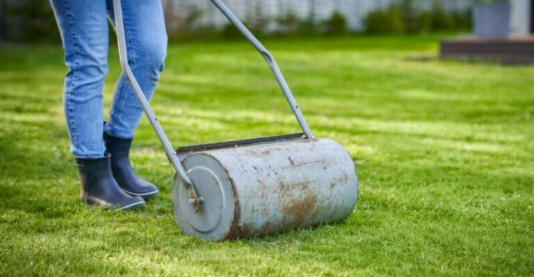 Skip These 5 Lawn Leveling Methods — Try These 13 Pro Techniques Instead
