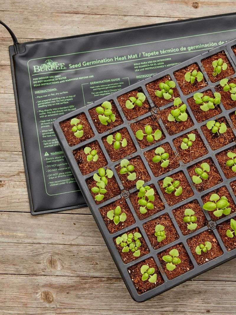 Use Heat Mats for Germination