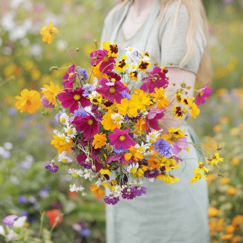 Use a Seed Mix for Easy Diversity