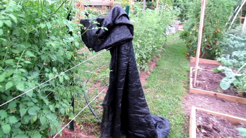 Temperature Management